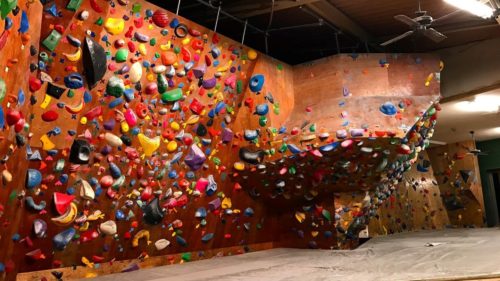 神奈川県のクライミング施設「DOGWOOD（ドッグウッド） クライミングジム 高津店」